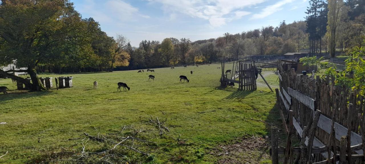 Ferienhaus Monika Villa Veitsrodt Luaran gambar